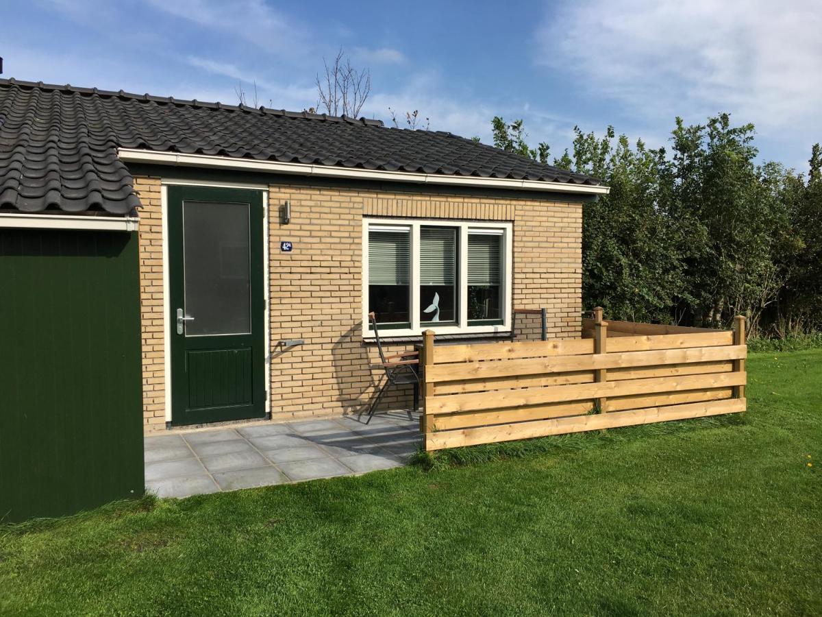 Bungalow Op Bedrijf Met Melkkoeien De Cocksdorp  Eksteriør bilde